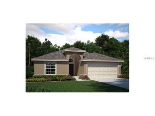 8433 Hunters Fork Loop, Ruskin, FL 33573-0159