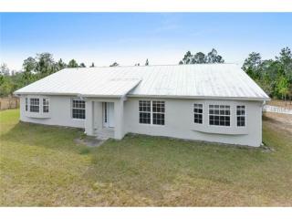 20104 Oberly Pkwy, Orlando, FL 32833-4209