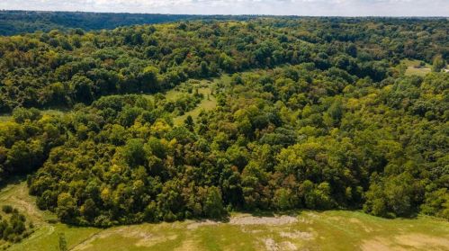 426 Old Carntown Rd, Johnsville, KY 41043-9004
