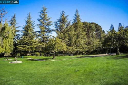 695 Blue Spruce Dr, Danville CA  94506-4525 exterior