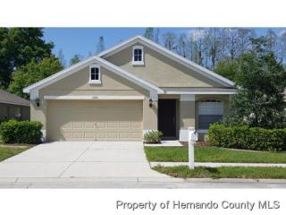 13036 Old Florida Cir, Port Richey FL  34669-2951 exterior