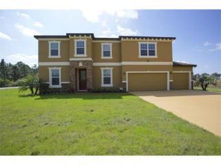 18828 Northrop St, Orlando, FL 32833