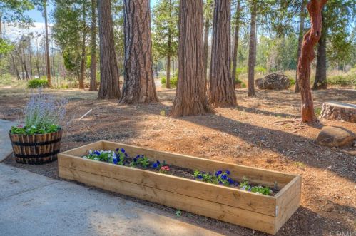 13953 Carver Dr, Nimshew CA  95954-9501 exterior