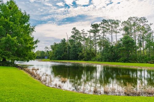 13011 Marsh Fern Dr, Orlando, FL 32828-7729