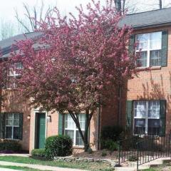 101 England Pointe Dr, Fredericksburg VA  22406-6496 exterior
