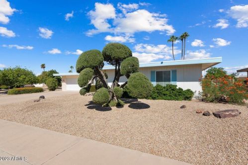 10822 Lola Dr, Sun City, AZ 85373-1518