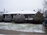 9337 Ellen Dr, Hammond, IN 46322-2926