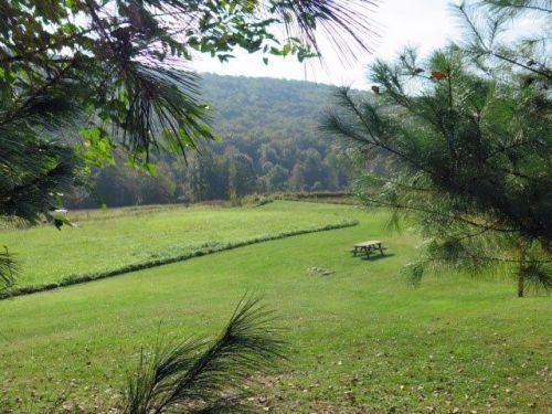 22073 Coles Valley Rd, Robertsdale, PA 16674-8601
