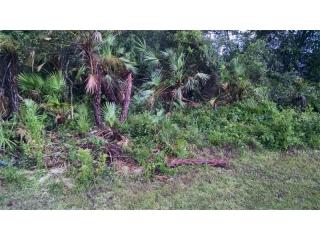 1569 Ohara St, Deltona, FL 32725-7567