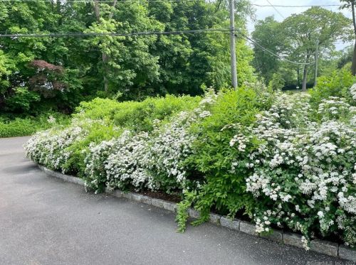 71 Elm Pl, New Canaan CT  06840-6308 exterior