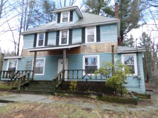 59 Chestnut St, Liberty, NY 12754-1735