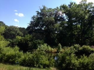 138 Stallings Island St, Bluffton SC  29910-8362 exterior