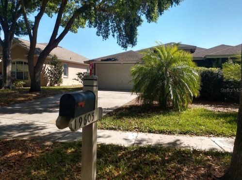 19605 Morden Blush Dr, Lutz FL  33558-9087 exterior