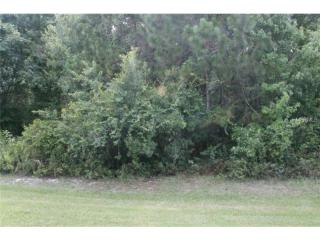 1702 Hidden Palms Dr, Davenport, FL 33897-8410