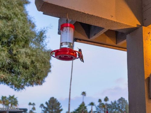 5822 Scottsdale Rd, Scottsdale AZ 85253-5415 exterior