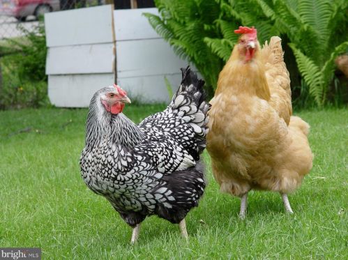 21 Loudoun St, Lovettsville VA  20180-8513 exterior