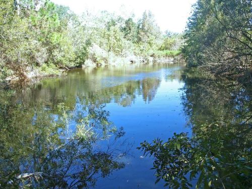 565 Deerwood Blvd, Greenville, FL 32331-7013