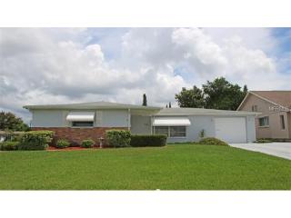 3706 Westchester Dr, Tarpon Springs, FL 34691-1451