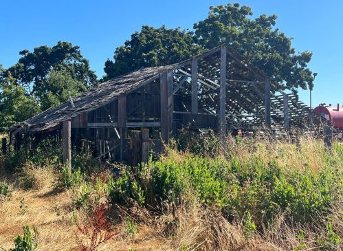 306 Todd Rd, Santa Rosa CA  95407-8104 exterior