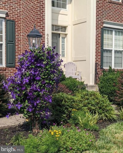 8632 Belgrove Gardens Ln, Gainesville, VA 20155-5878