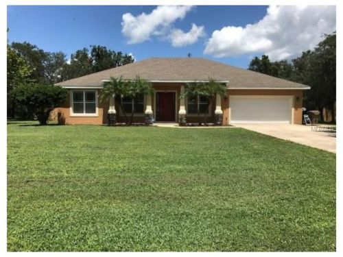 15921 Hansonview Dr, Tavares, FL 32778-5029