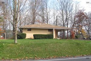 65 Lake Rd, Dryden, NY 13053-9789