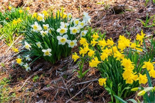 174 Low Rd, West Woods, CT 06069-2016