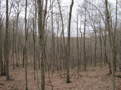 24480 Bushby Rd, Laurelville OH  43152-9712 exterior