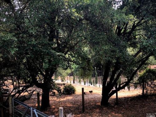 3431 Burnside Rd, Sebastopol CA  95472-9139 exterior