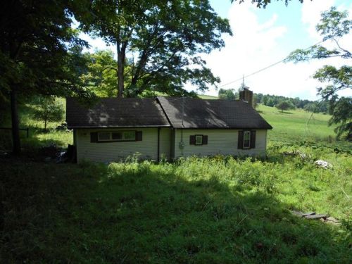 378 Junior Hickling Rd, Edmeston, NY 13335-3017