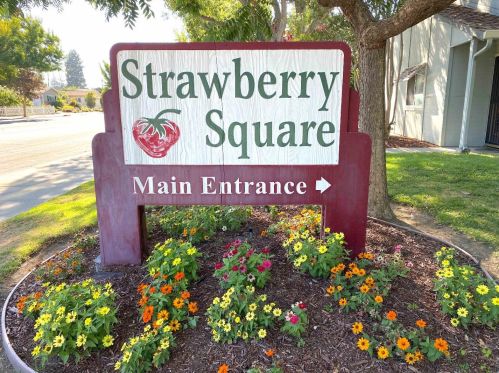 4664 Persimmon Pl, San Jose, CA 95129-1933