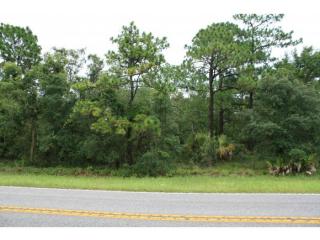 1243 Rock Crusher Rd, Homosassa, FL 34448-1611