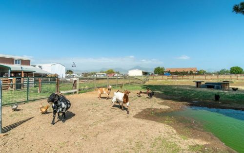 105 Daffodil Dr, Hollister CA  95023-3103 exterior