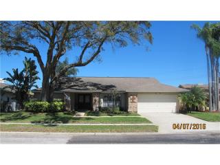2909 Windridge Dr, Tarpon Springs, FL 34691-2618