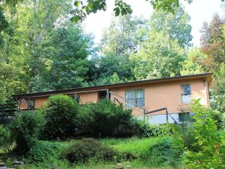 243 Montgomery Place Ln, Zirconia, NC 28790-7704