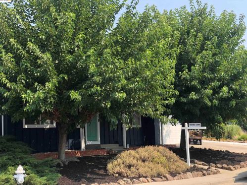 439 Fensalir Ave, Concord, CA 94523-1820