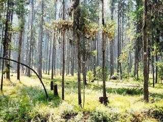 613 Leisure Ln, Sula, MT 59871