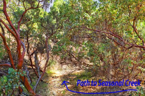 6016 Silverleaf Dr, Michigan Bluff CA  95631-9631 exterior