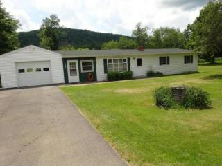 3340 River Rd, East Nichols, NY 13812-1006