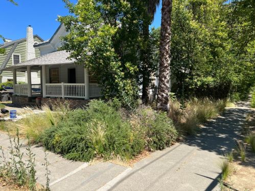 757 1st St, Woodland CA  95695-4805 exterior