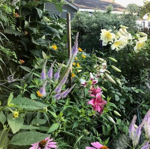 3617 Lenox St, Milwaukee WI 53207-5240 exterior