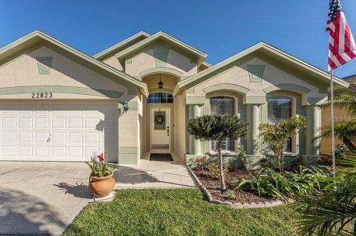 22823 Richardson Ln, Land O Lakes, FL 34639-4062