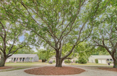 784 Wakendaw Blvd, Mount Pleasant SC  29464-5153 exterior