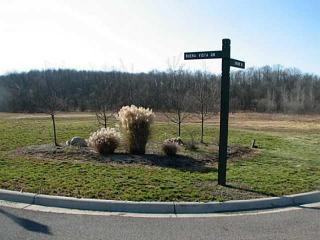375 Buena Vista Dr, Johnstown, OH 43031-1363