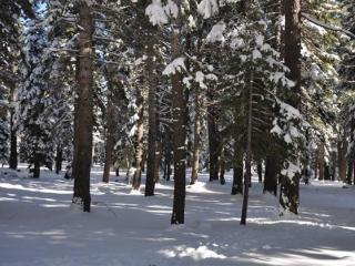 13626 Pathway Ave, Truckee, CA 96161-6219