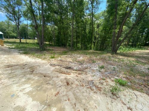 9662 135th Dr, Dowling Park, FL 32060-8889