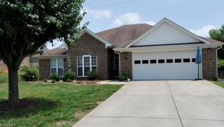 225 Bradford Lake Ct, Lewisville, NC 27023-8663