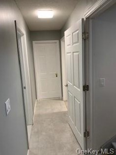 15 Cooke Ln, Monticello NY  12701-7112 exterior