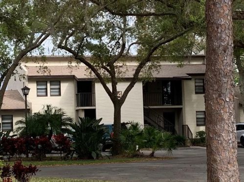 1000 Tarpon Woods Blvd, Palm Harbor, FL 34685-2013