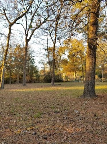 27049 Canyon Ranch Cir, Magnolia, TX 77355-2996